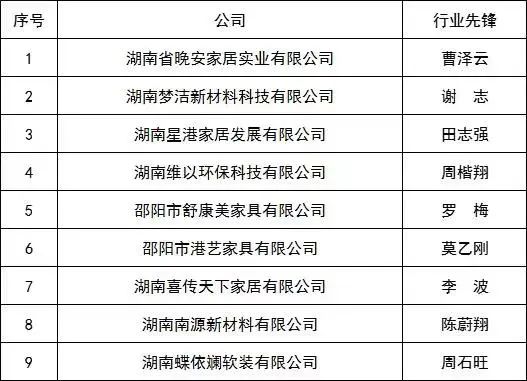 湖南省家具行业协会,家具行业协会,家具行业